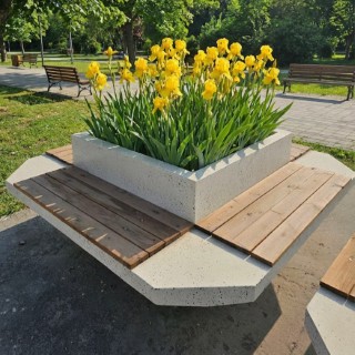 نیمکت بتنی مربعی طرح چوب و سنگ با گلدان مرکزی و گل‌های زرد در پارک (Square wood and stone design concrete bench with central planter and yellow flowers in the park)